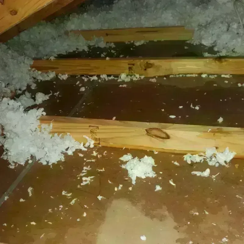 Attic Water Damage in Harrodsburg, KY